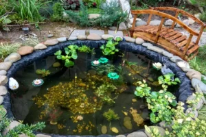 oczko wodne w ogrodzie